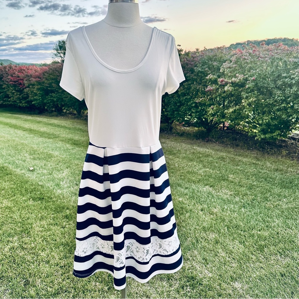 Maru Stripped Lace Navy & White Dress